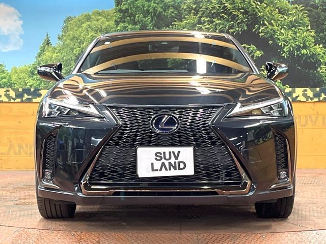 LEXUS UX250h