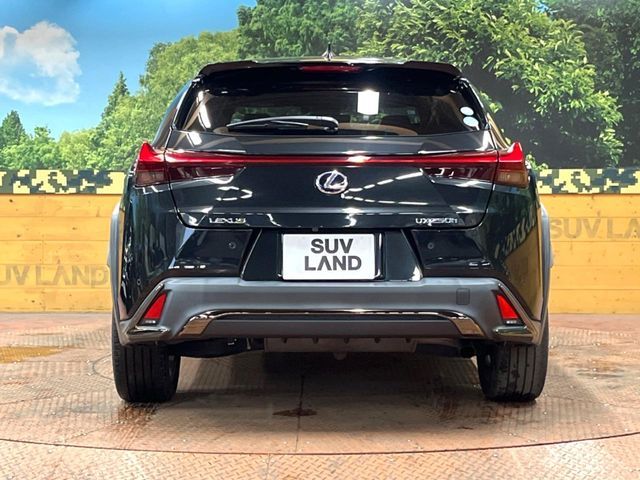 LEXUS UX250h