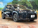 LEXUS UX250h