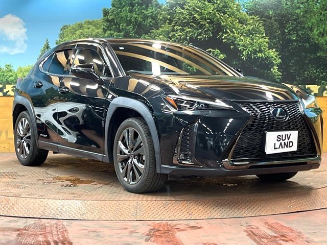 LEXUS UX250h