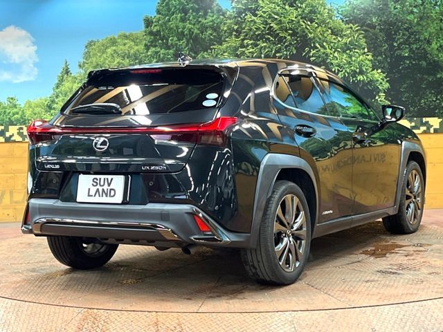 LEXUS UX250h