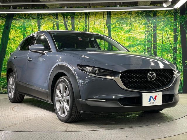 CX-30