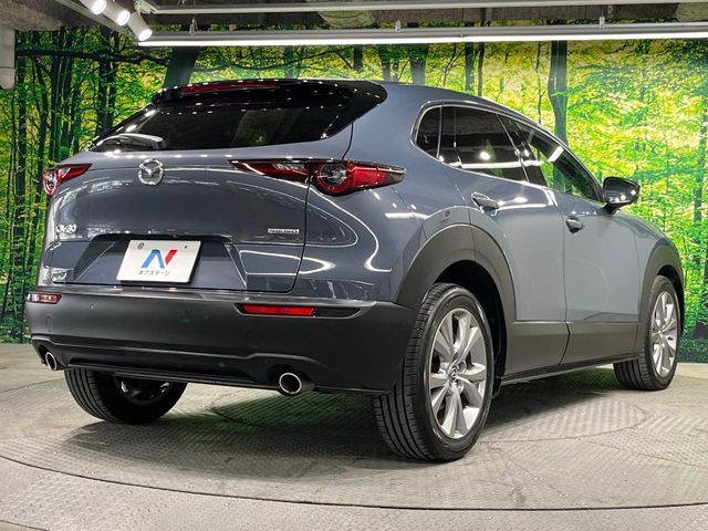 CX-30