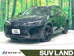 LEXUS UX250h