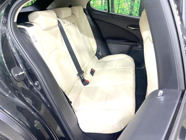 LEXUS UX250h