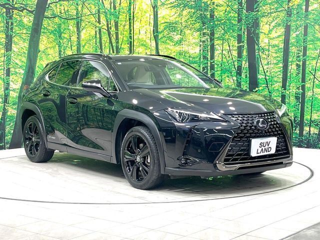 LEXUS UX250h
