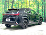 LEXUS UX250h