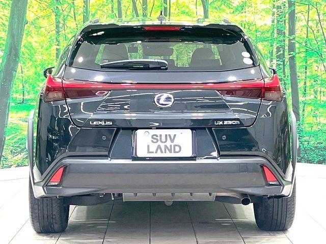 LEXUS UX250h