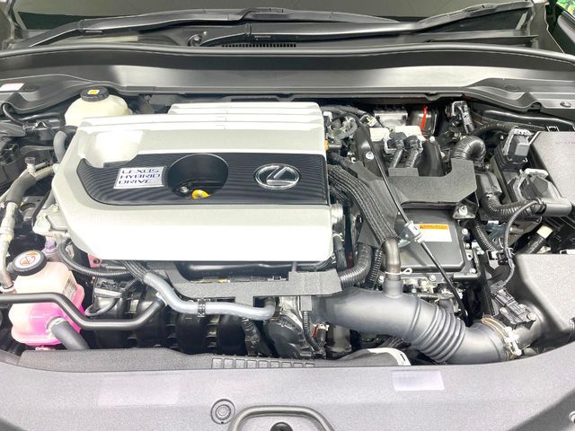 LEXUS UX250h