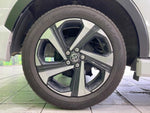 RAIZE HYBRID