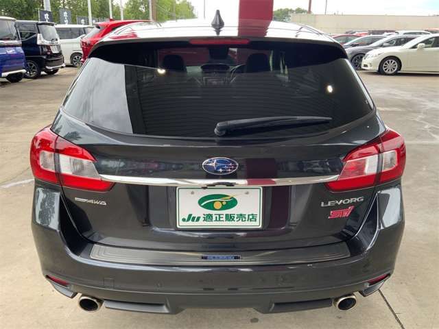 LEVORG