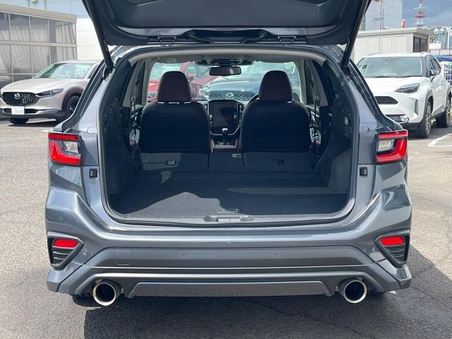 LEVORG