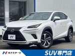LEXUS NX300 AWD