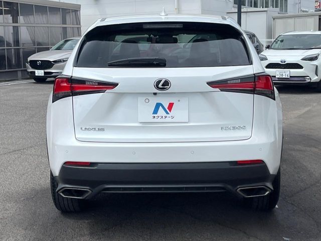 LEXUS NX300 AWD