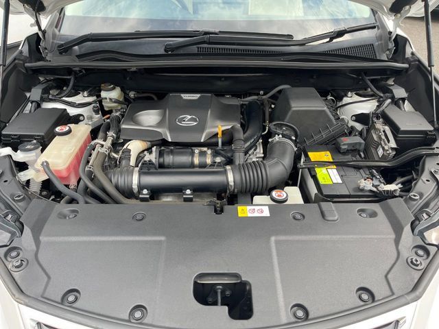 LEXUS NX300 AWD
