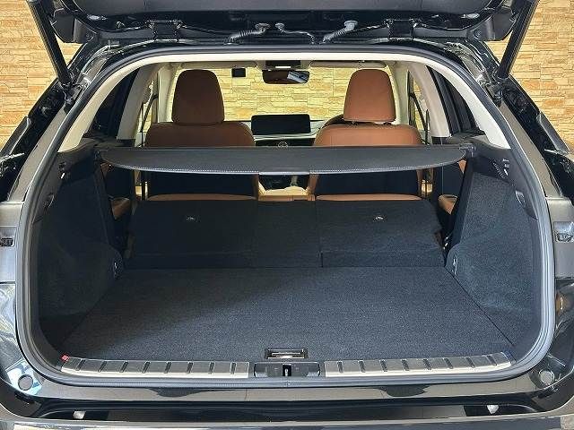 LEXUS RX300