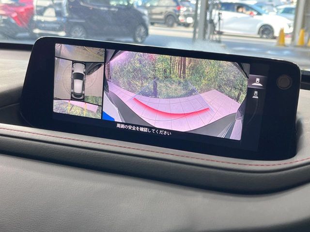 CX-30