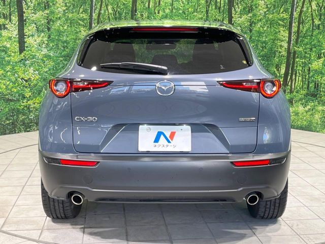CX-30