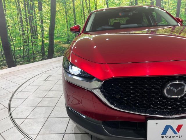 CX-30