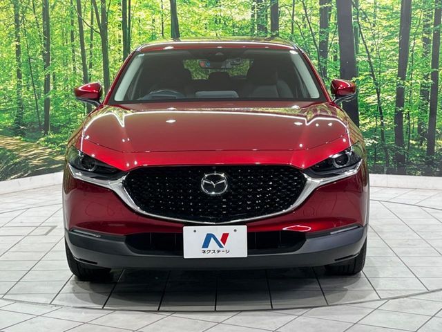 CX-30