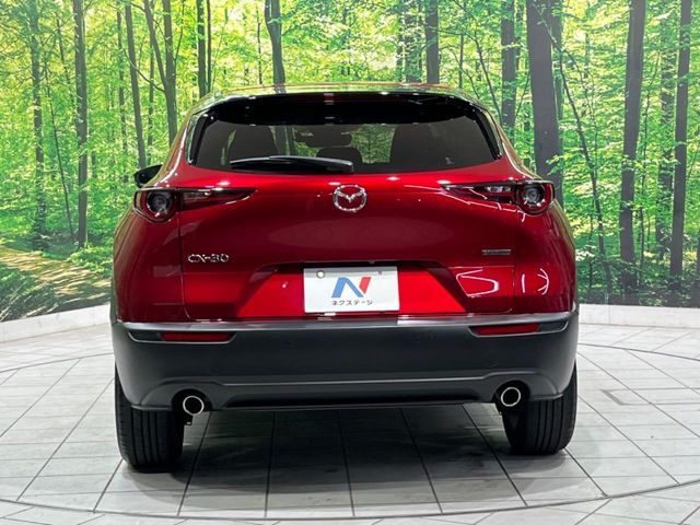 CX-30