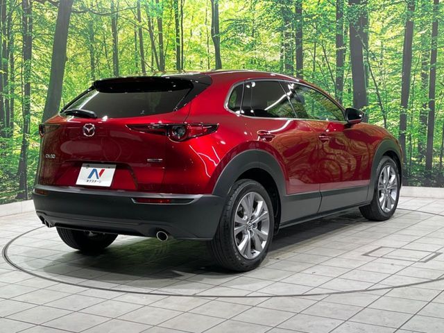 CX-30