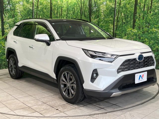 RAV4 HYBRID 4WD