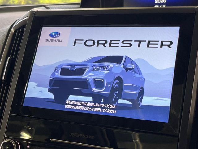 FORESTER