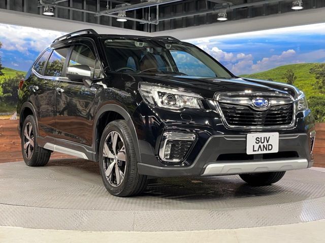 FORESTER