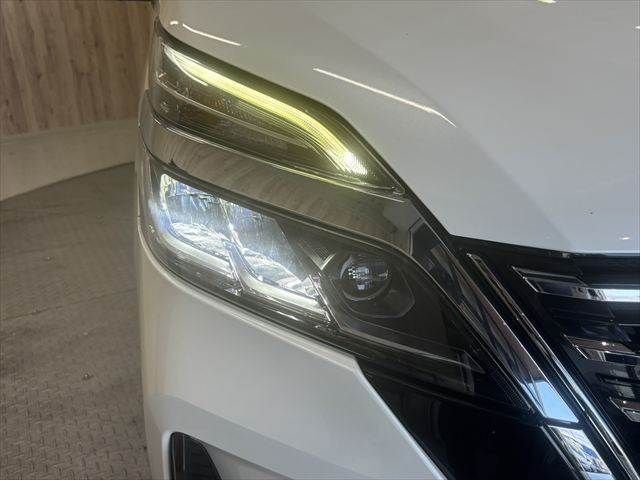 SERENA  S-HYBRID