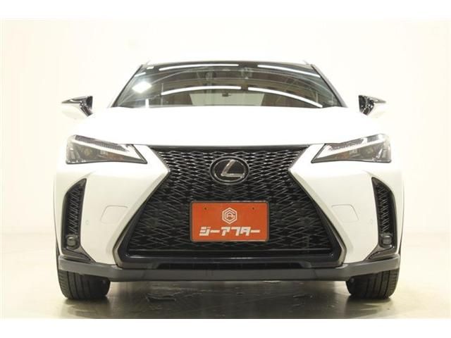 LEXUS UX250h AWD