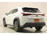 LEXUS UX250h AWD