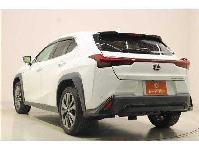 LEXUS UX250h AWD