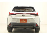 LEXUS UX250h AWD
