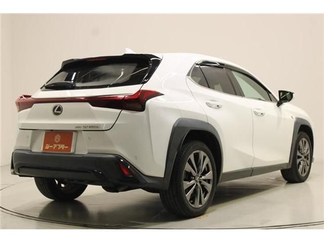 LEXUS UX250h AWD