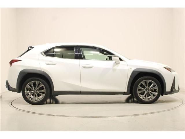 LEXUS UX250h AWD