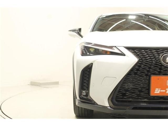 LEXUS UX250h AWD