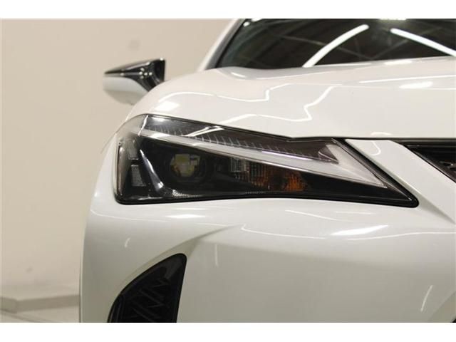 LEXUS UX250h AWD