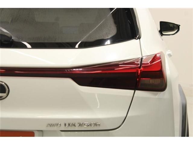 LEXUS UX250h AWD