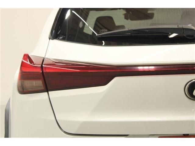 LEXUS UX250h AWD