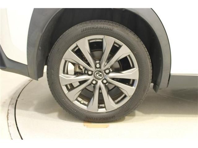 LEXUS UX250h AWD