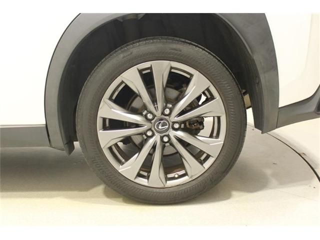LEXUS UX250h AWD