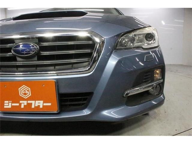 LEVORG