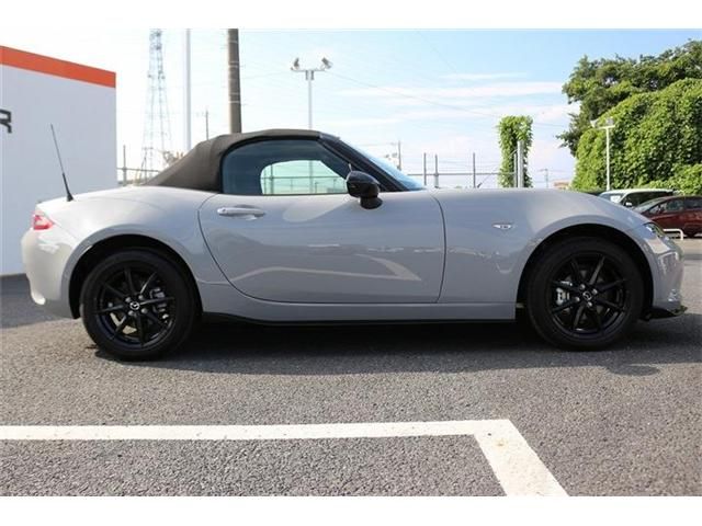 ROADSTER