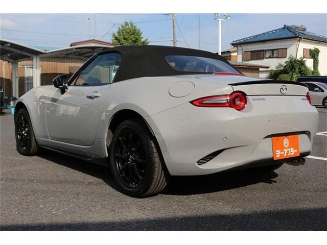 ROADSTER