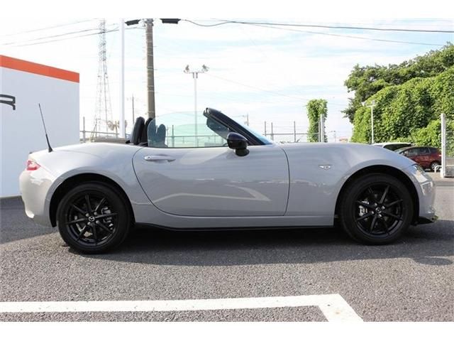 ROADSTER
