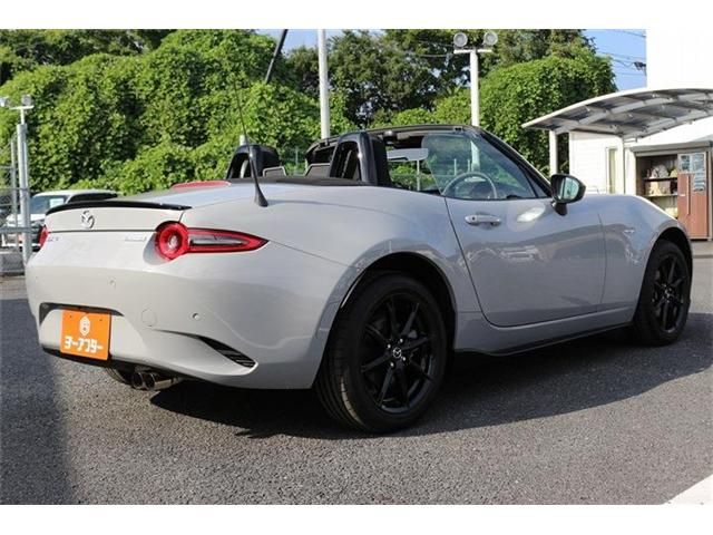 ROADSTER