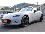 ROADSTER