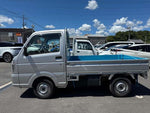 MINICAB truck 4WD
