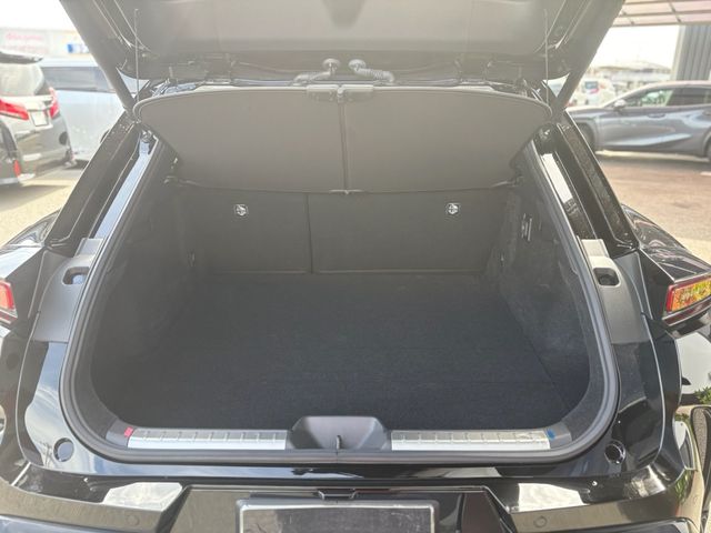 CROWN SPORT